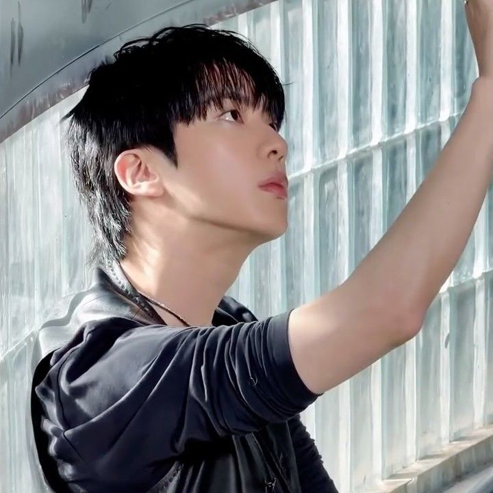 진 (방탄소년단) 팬이 찍은 순간