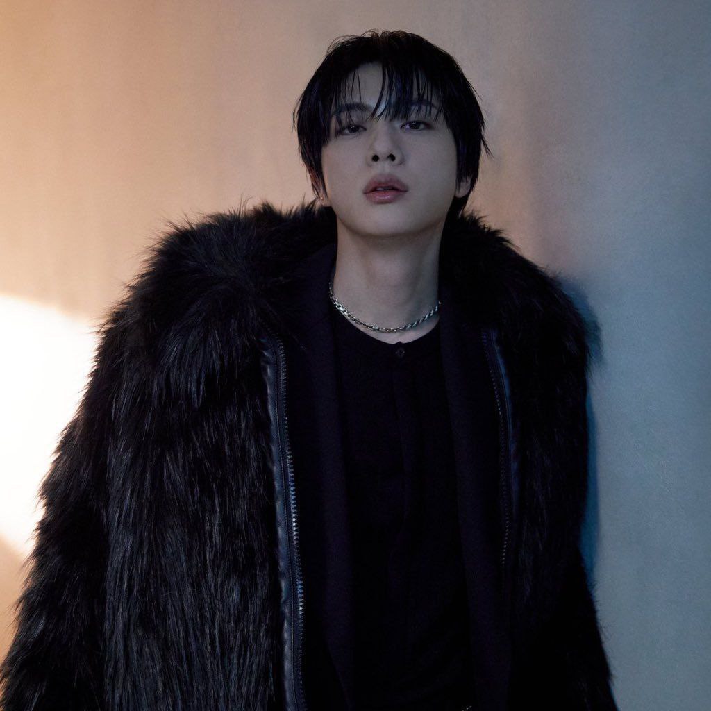 A moment captured by Jin (BTS)'s fan