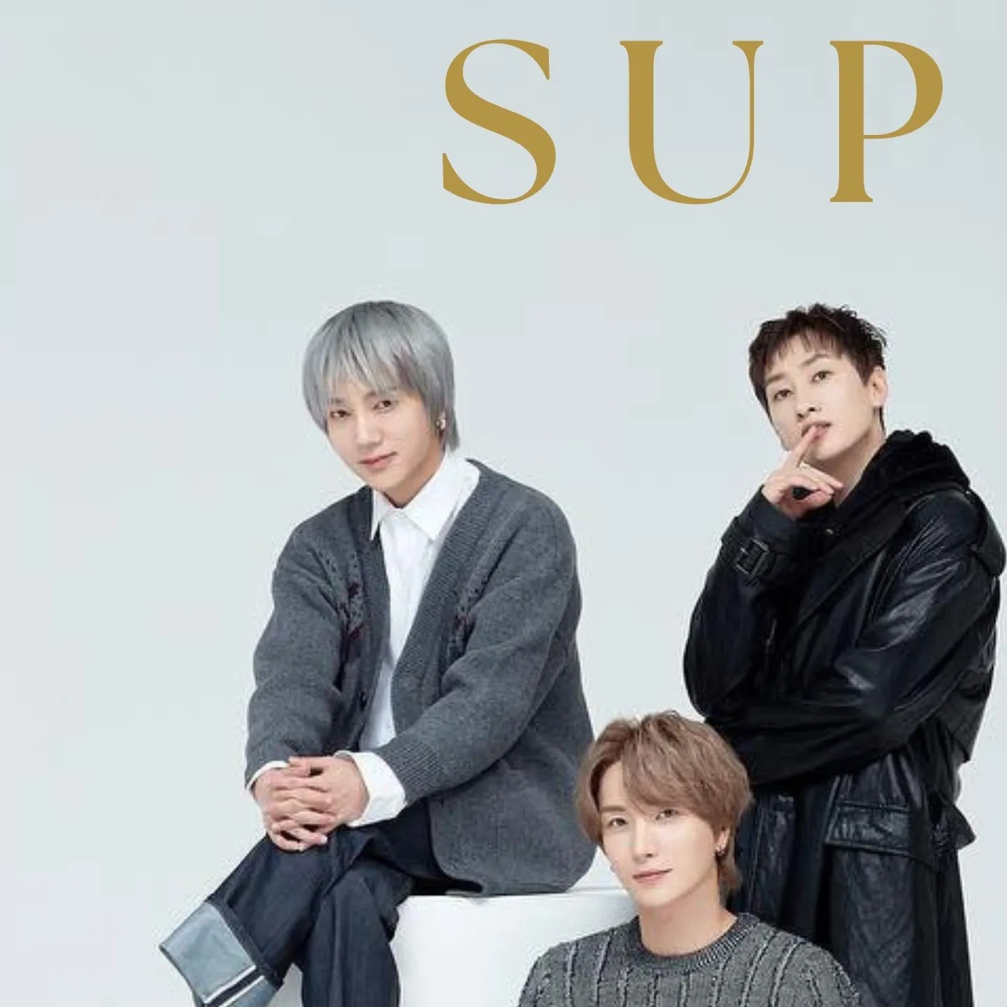 A moment captured by Shindong (Super Junior)'s fan