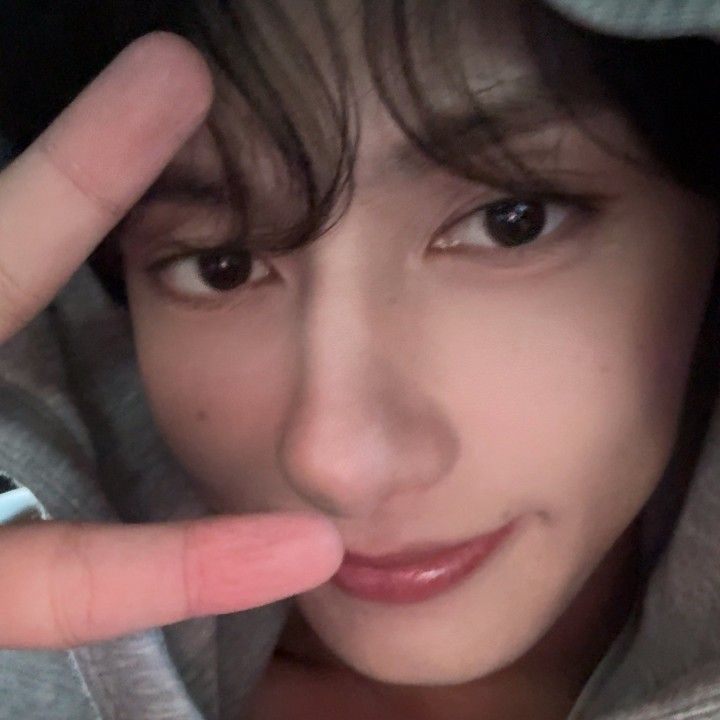 세븐틴 팬이 찍은 순간