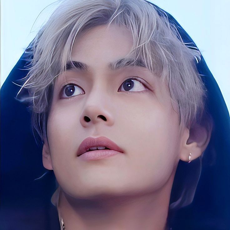 Potret di balik layar V (BTS)