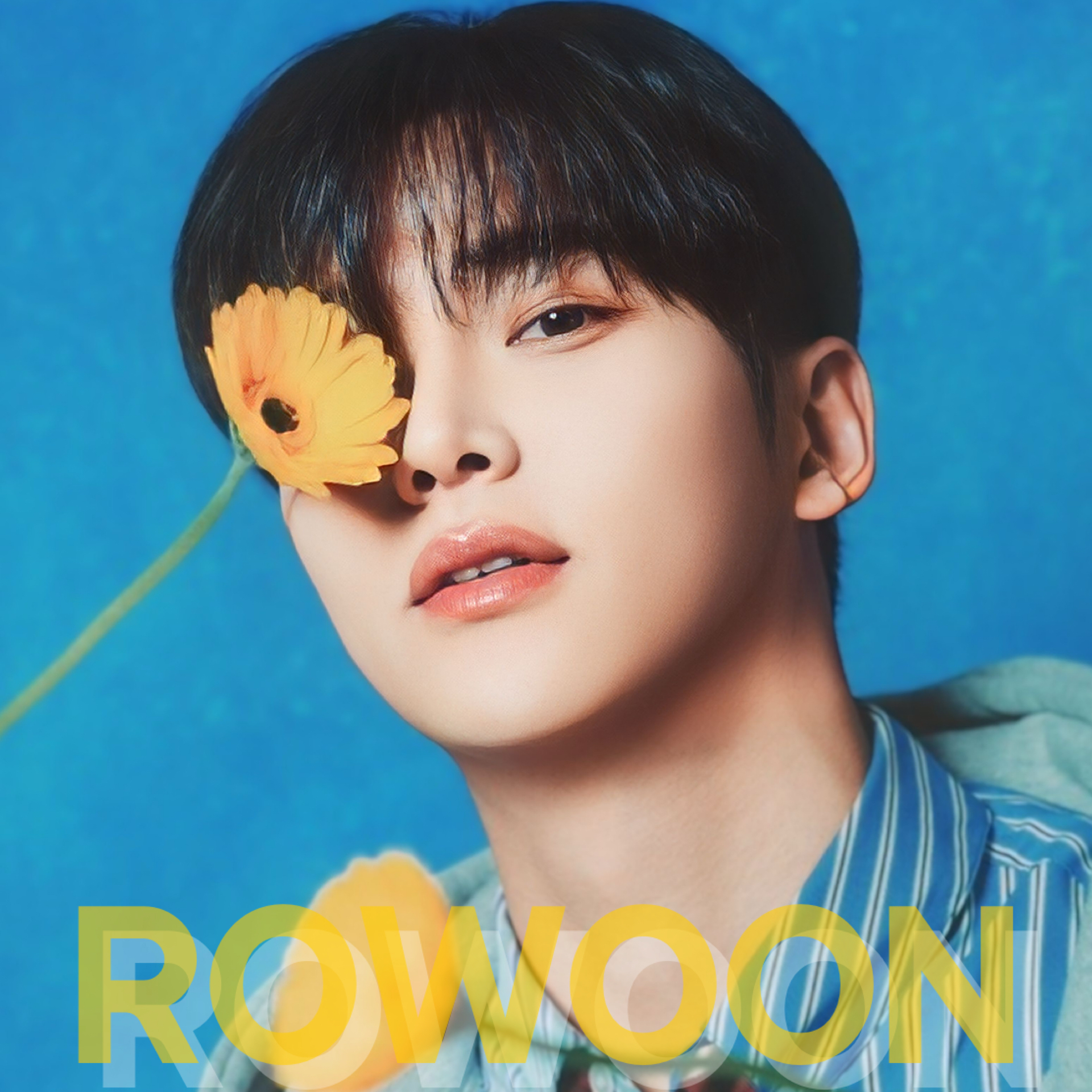 로운의 최신 사진