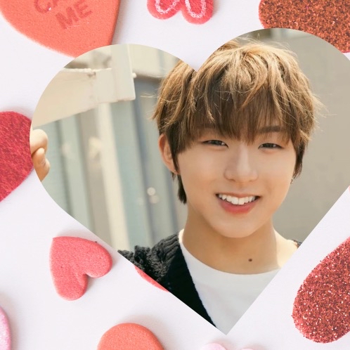 미라쿠 (NouerA) 팬이 찍은 순간