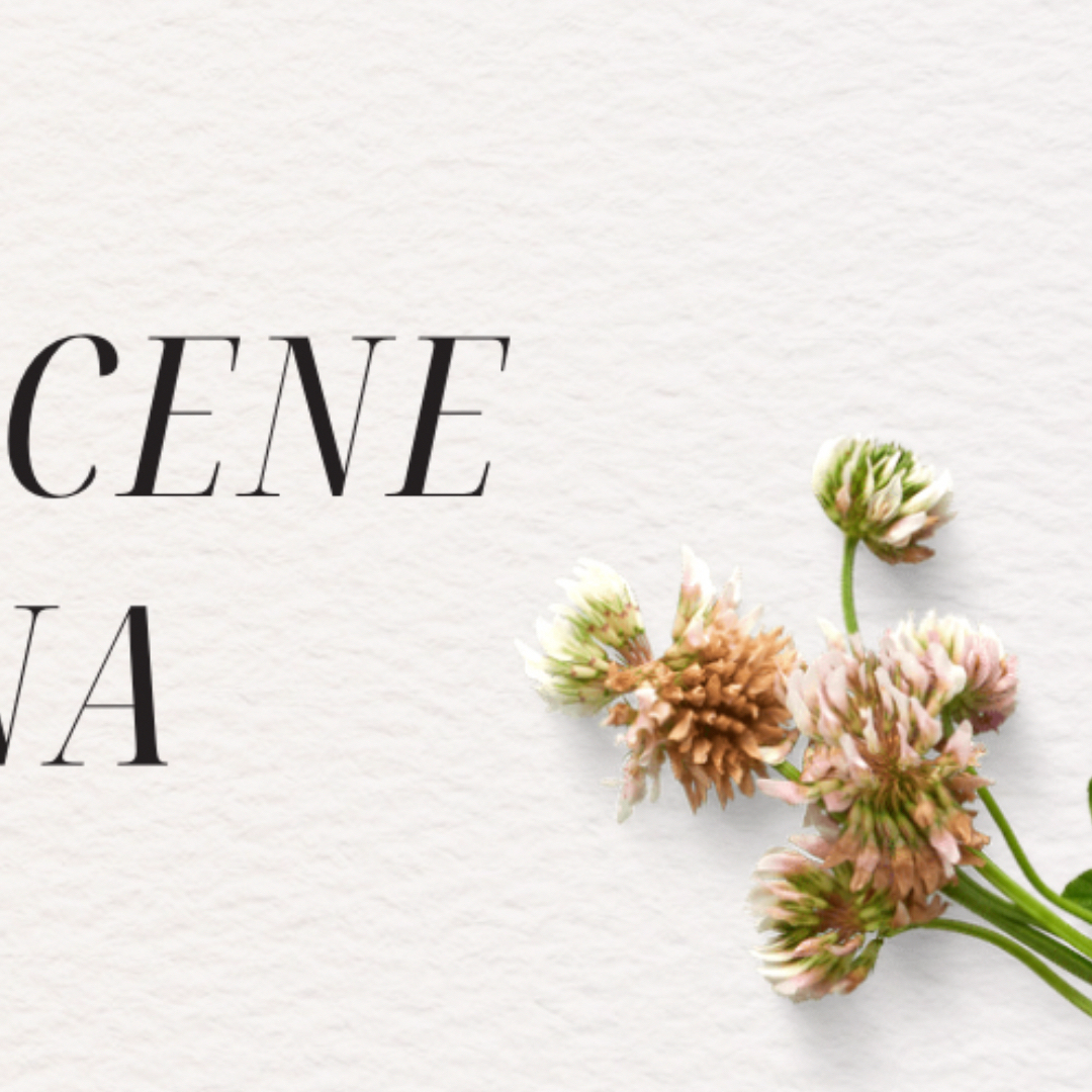 A moment captured by Zena (RESCENE)'s fan