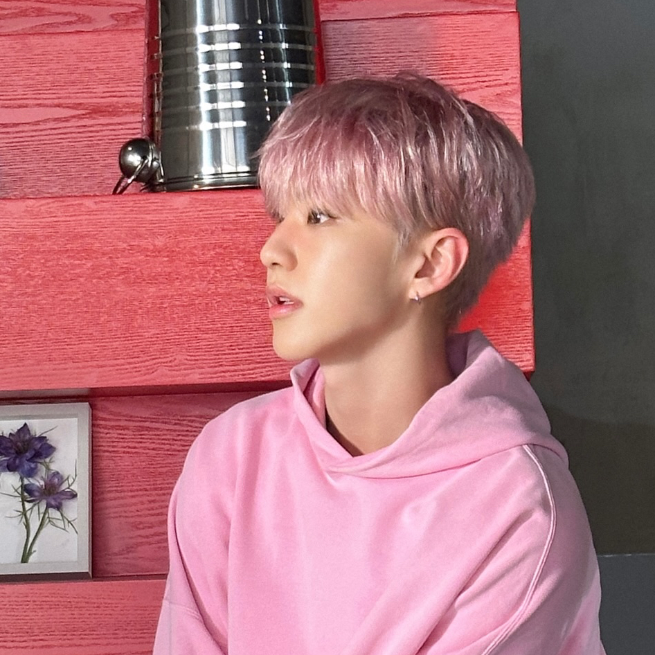 A moment captured by SEVENTEEN's fan