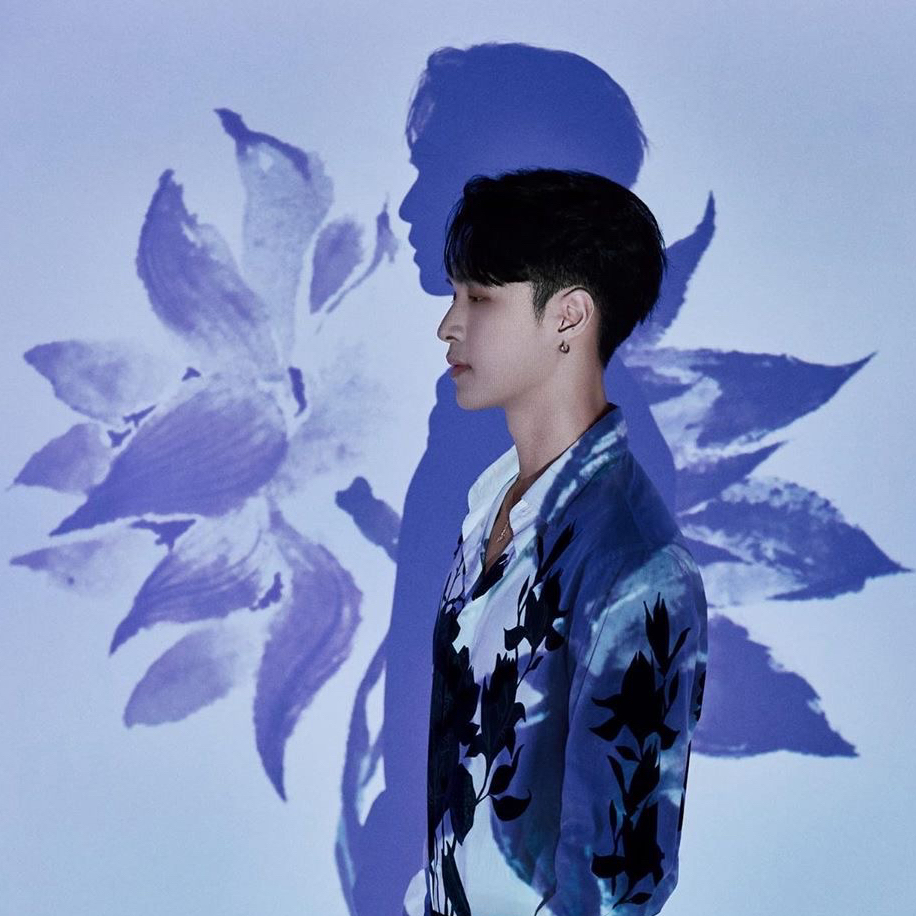 A moment captured by Lay (EXO)'s fan