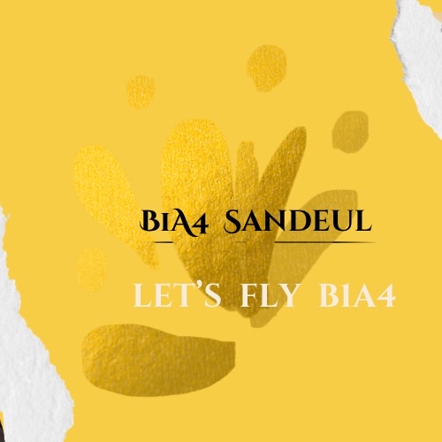 サンドゥル (B1A4)ファンが撮った瞬間