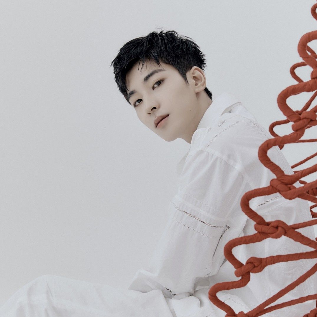 A moment captured by Wonwoo (SEVENTEEN)'s fan