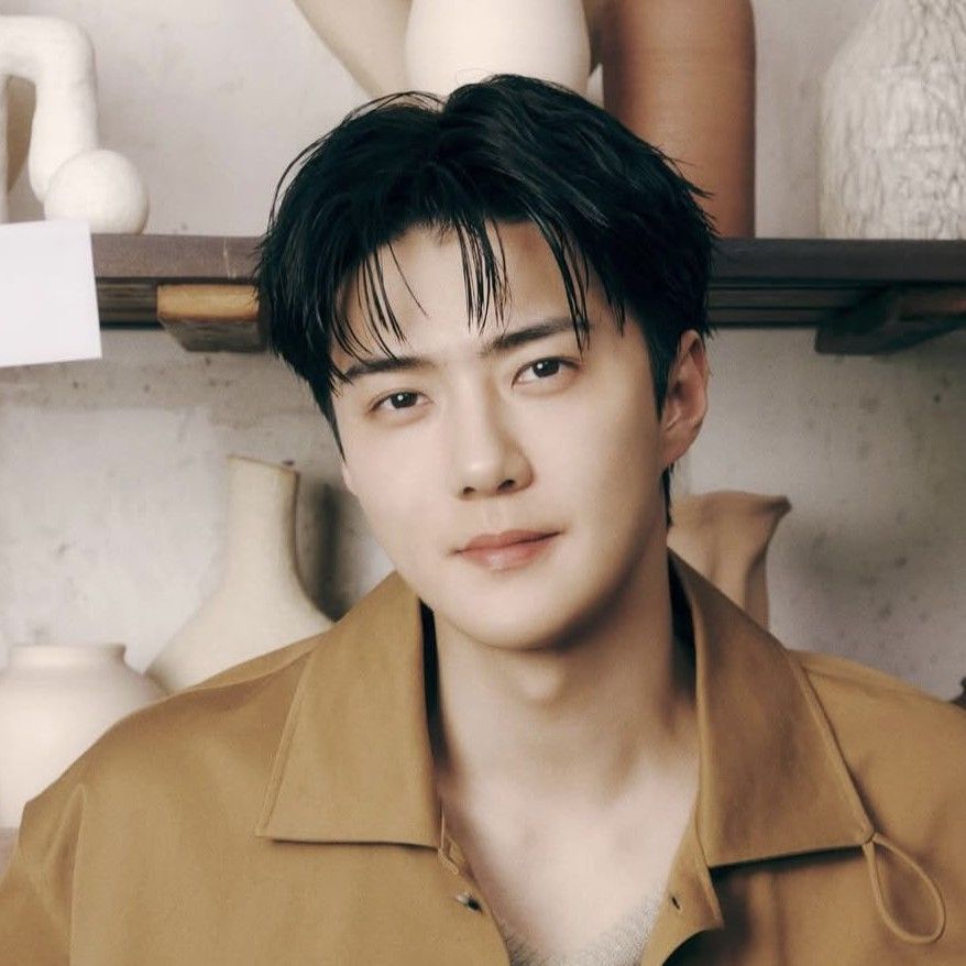 세훈 (EXO) 팬이 찍은 순간