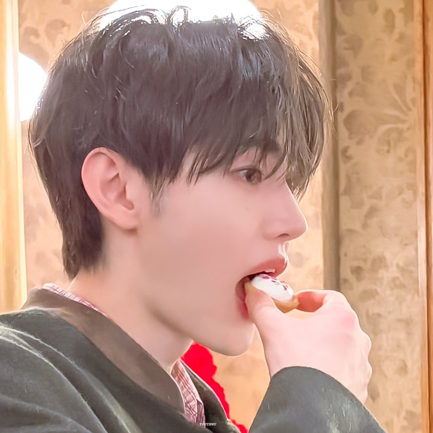 Momen yang diabadikan oleh penggemar ENHYPEN