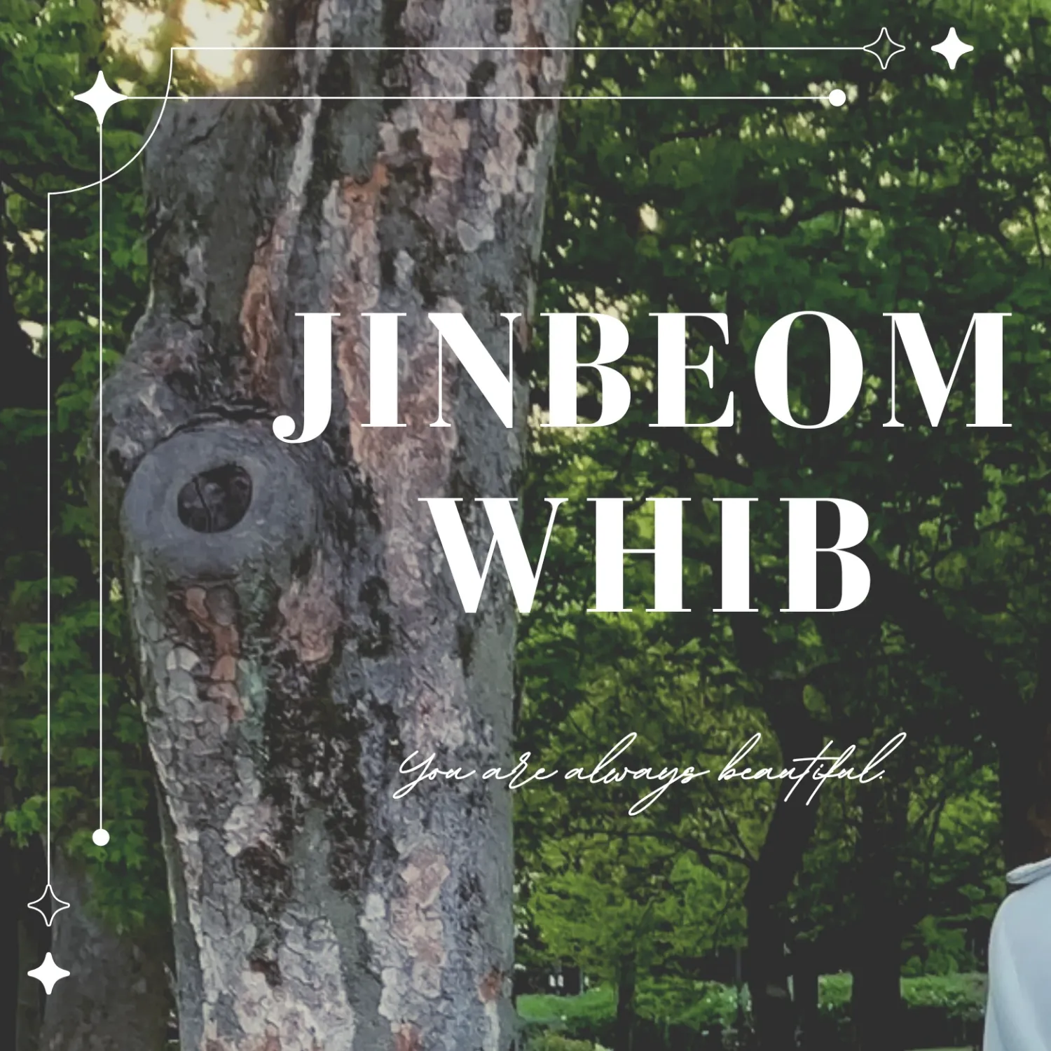 A moment captured by Jinbeom (WHIB)'s fan