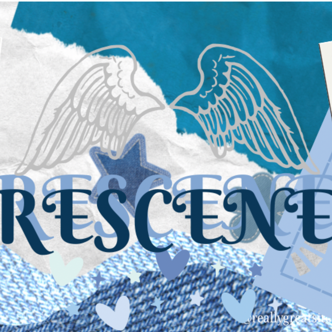 A moment captured by May (RESCENE)'s fan