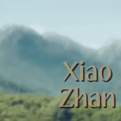 A moment captured by Xiao Zhan's fan