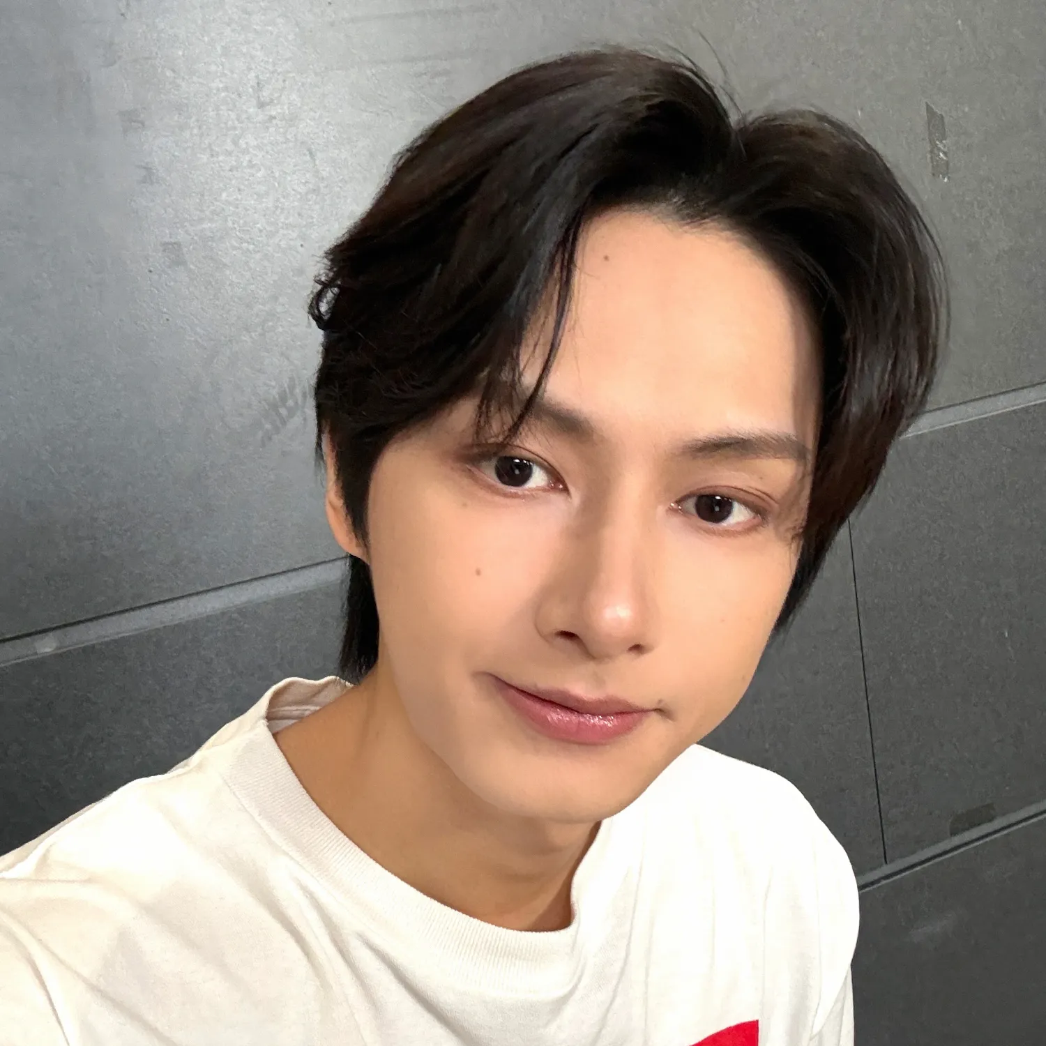 세븐틴 팬이 찍은 순간