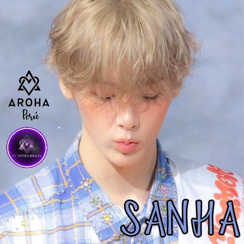 A moment captured by Sanha (ASTRO)'s fan