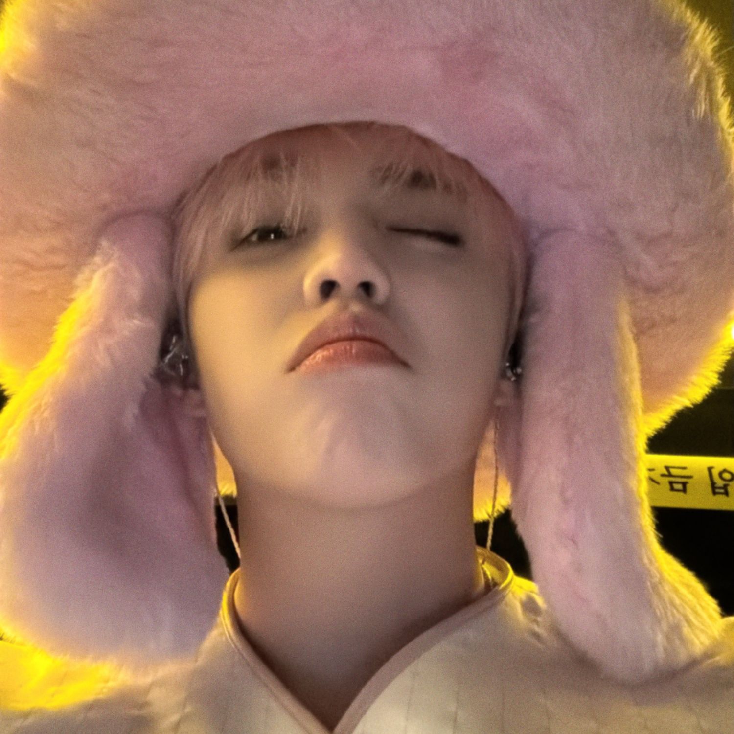 세븐틴 팬이 찍은 순간