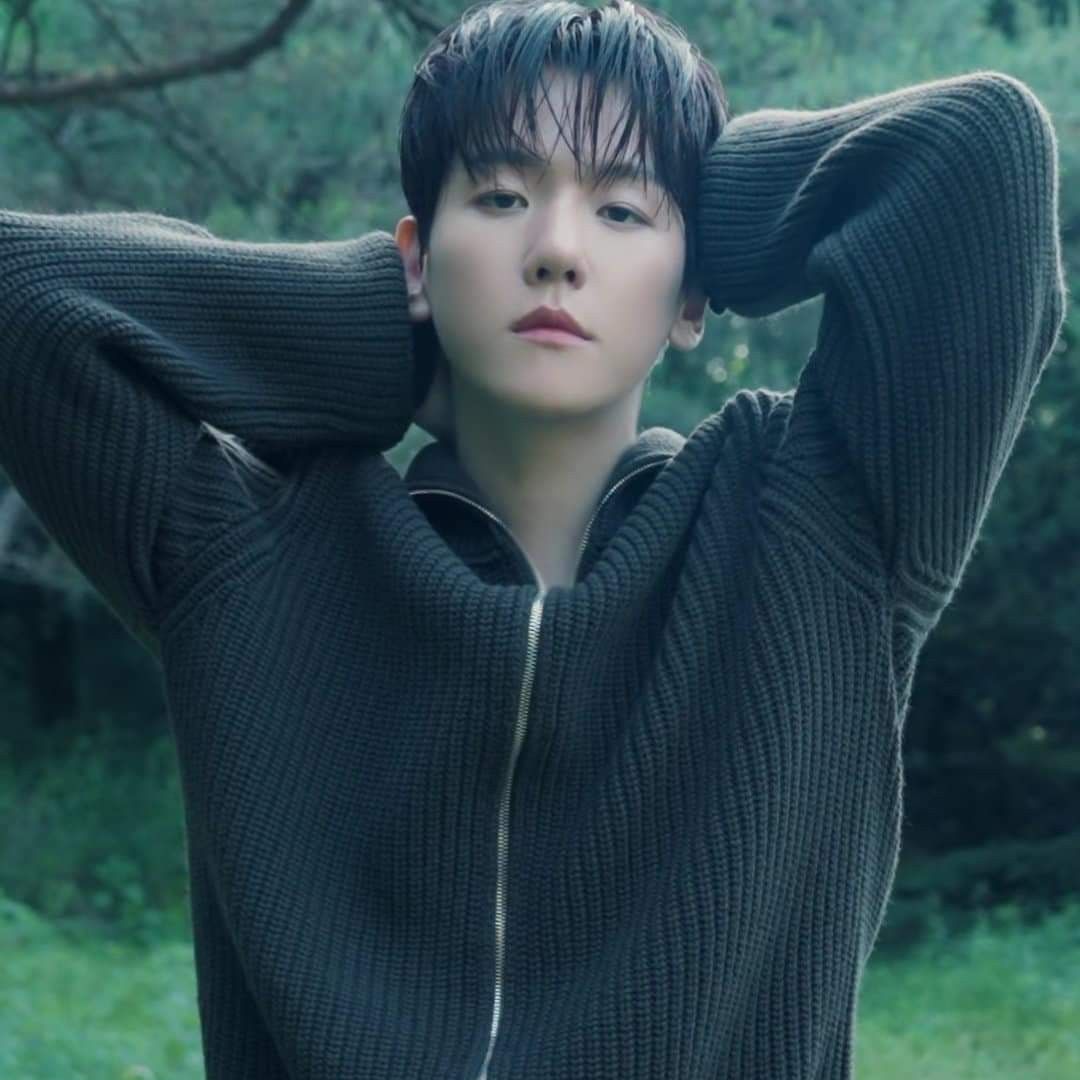 백현 (EXO) 최근 활동샷