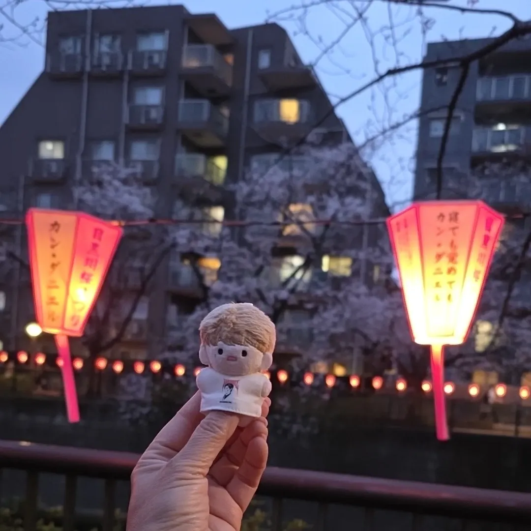 A moment captured by Kang Daniel's fan