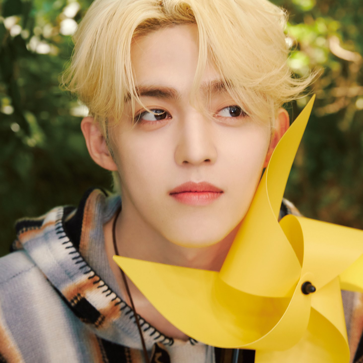 SEVENTEEN的最新活動照片