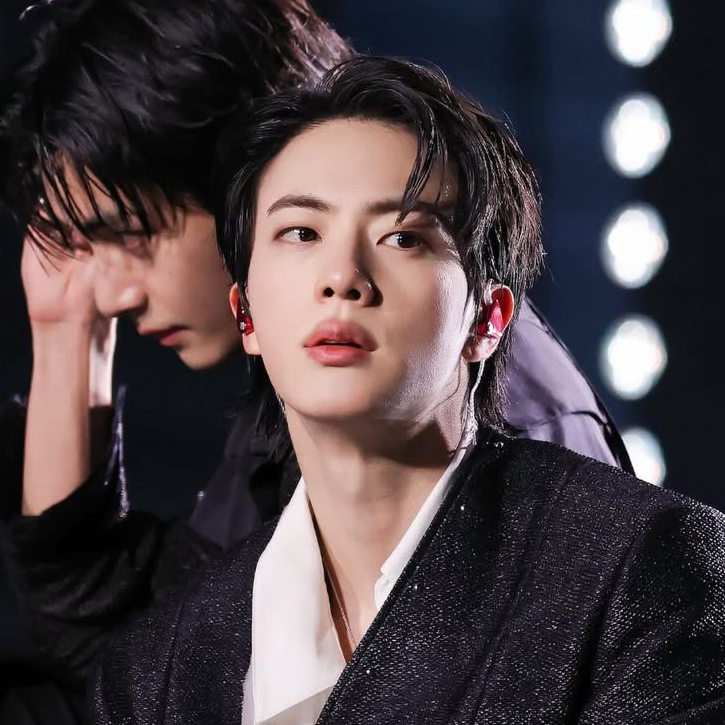 진 (방탄소년단) 팬이 찍은 순간