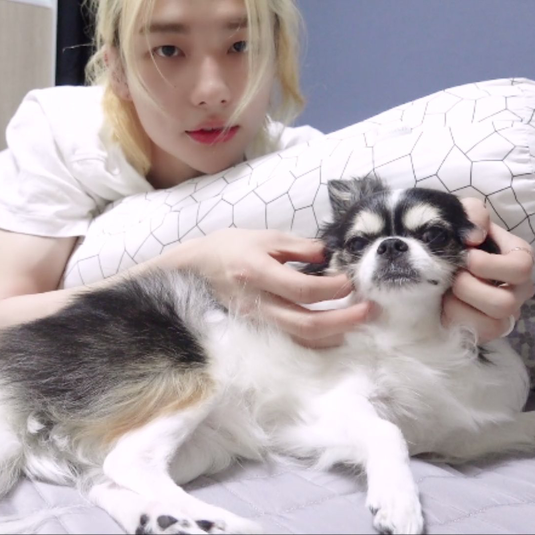 Recent activity shot of Stray Kids