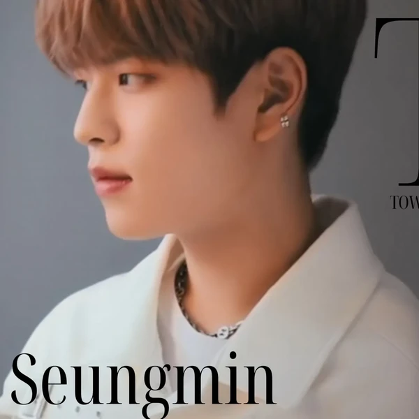 投票で選ばれたスンミン (Stray Kids)の人気プロフィール画像