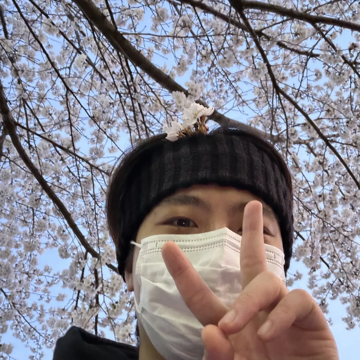 Momen yang diabadikan oleh penggemar GOT7