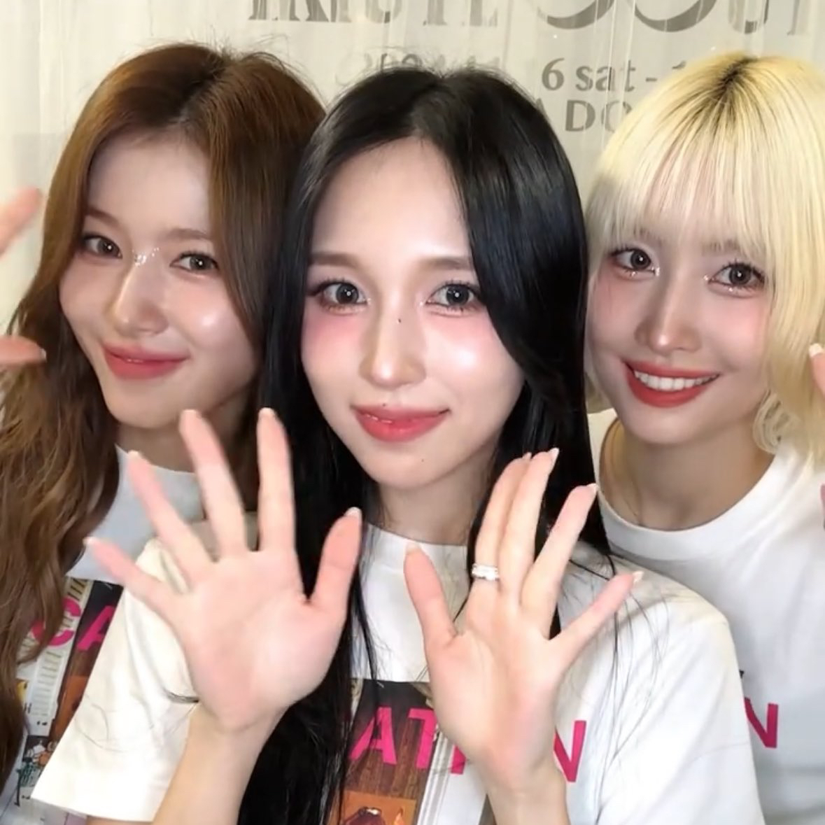 Mina (TWICE)粉丝拍下的瞬间