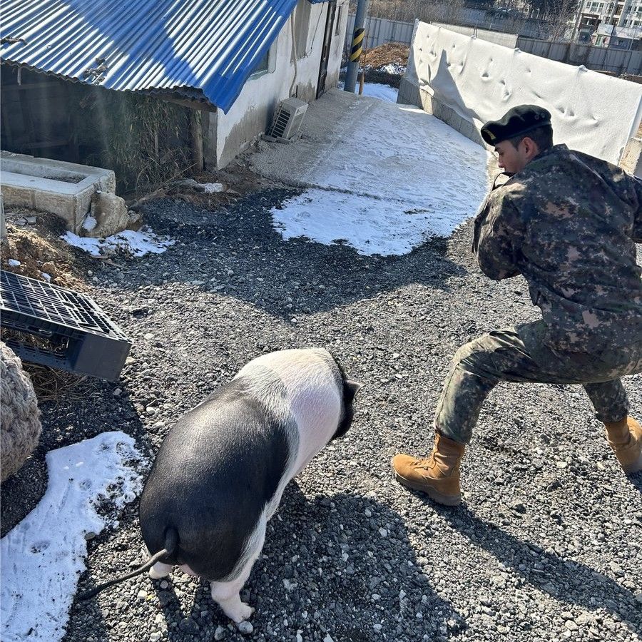 白虎的幕后花絮