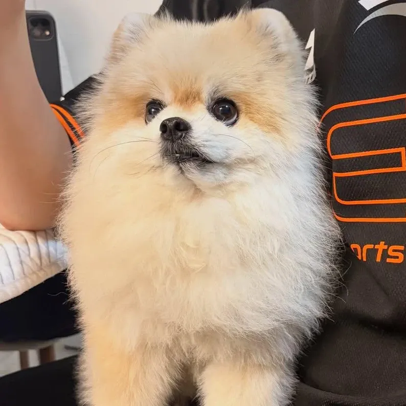 Recent activity shot of Moonbin (ASTRO)