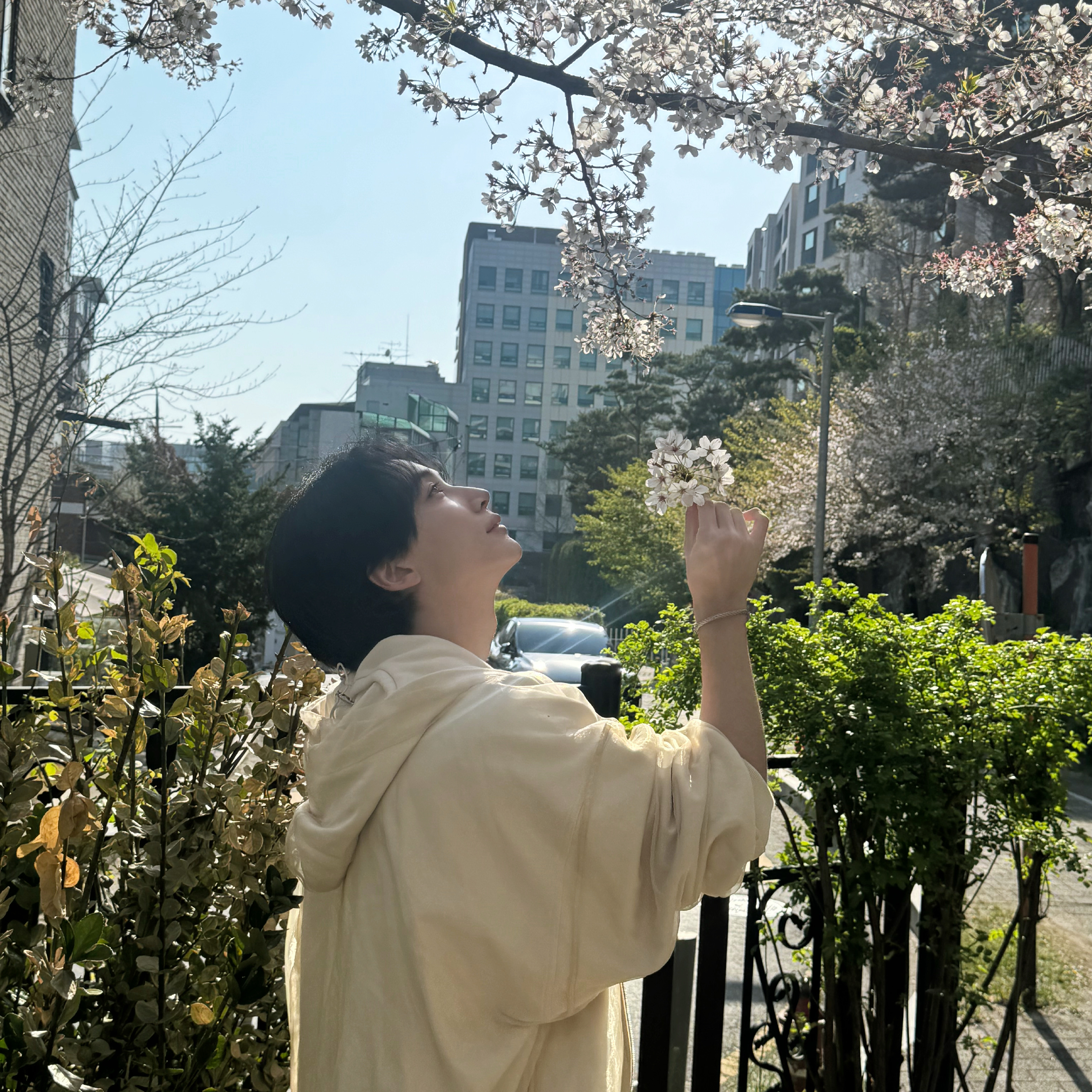 A moment captured by Jeonghan (SEVENTEEN)'s fan