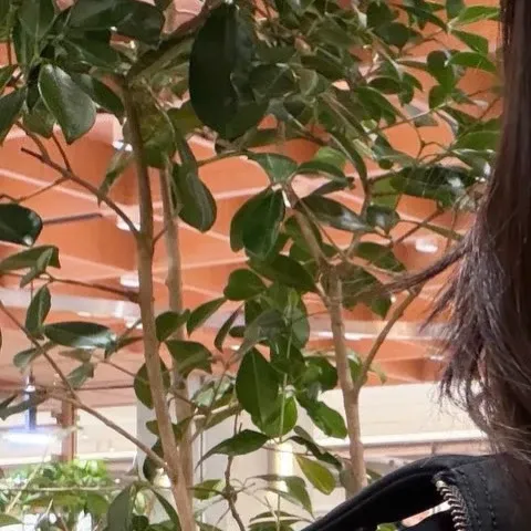 리아 (ITZY) 최근 활동샷