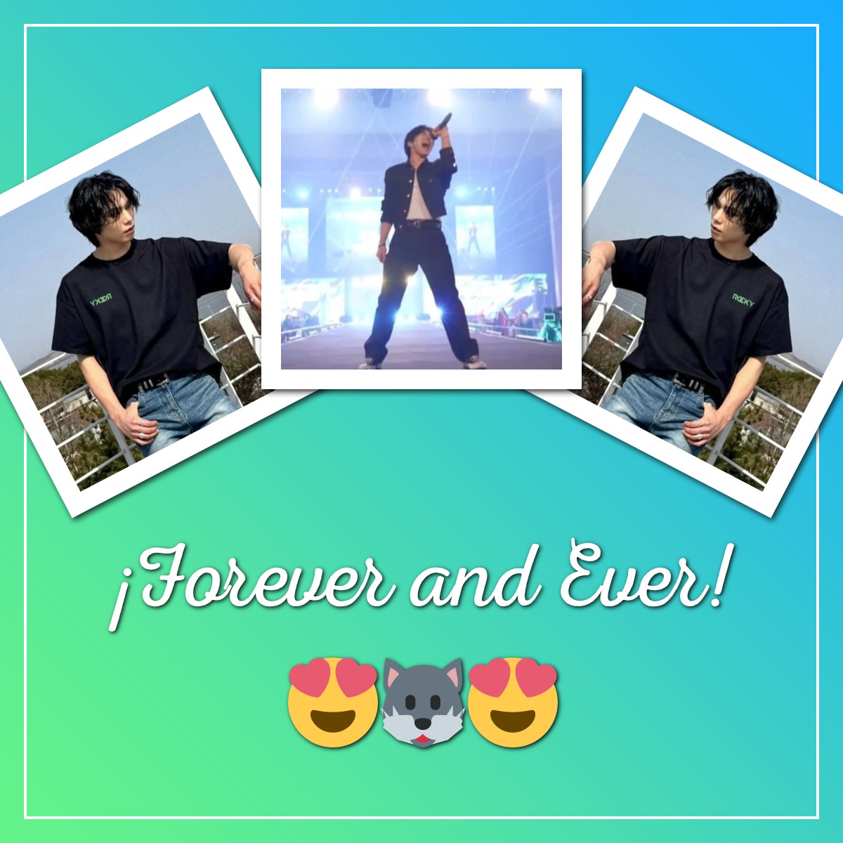 Recent activity shot of Rocky