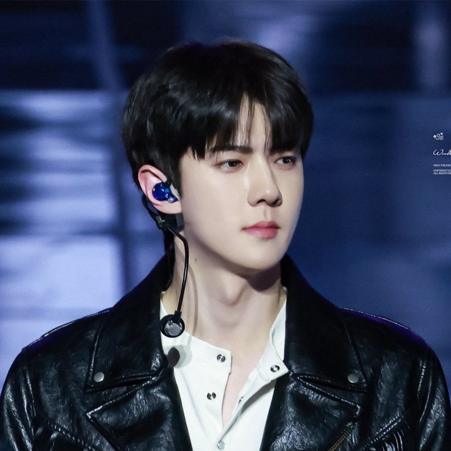 Momen yang diabadikan oleh penggemar Sehun (EXO)
