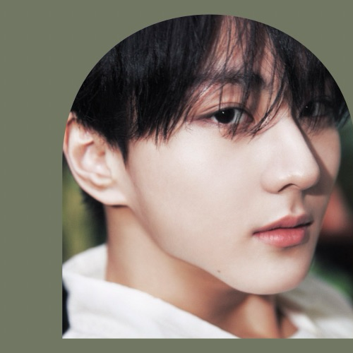 K-POP posts beloved by 정원 (ENHYPEN) fans