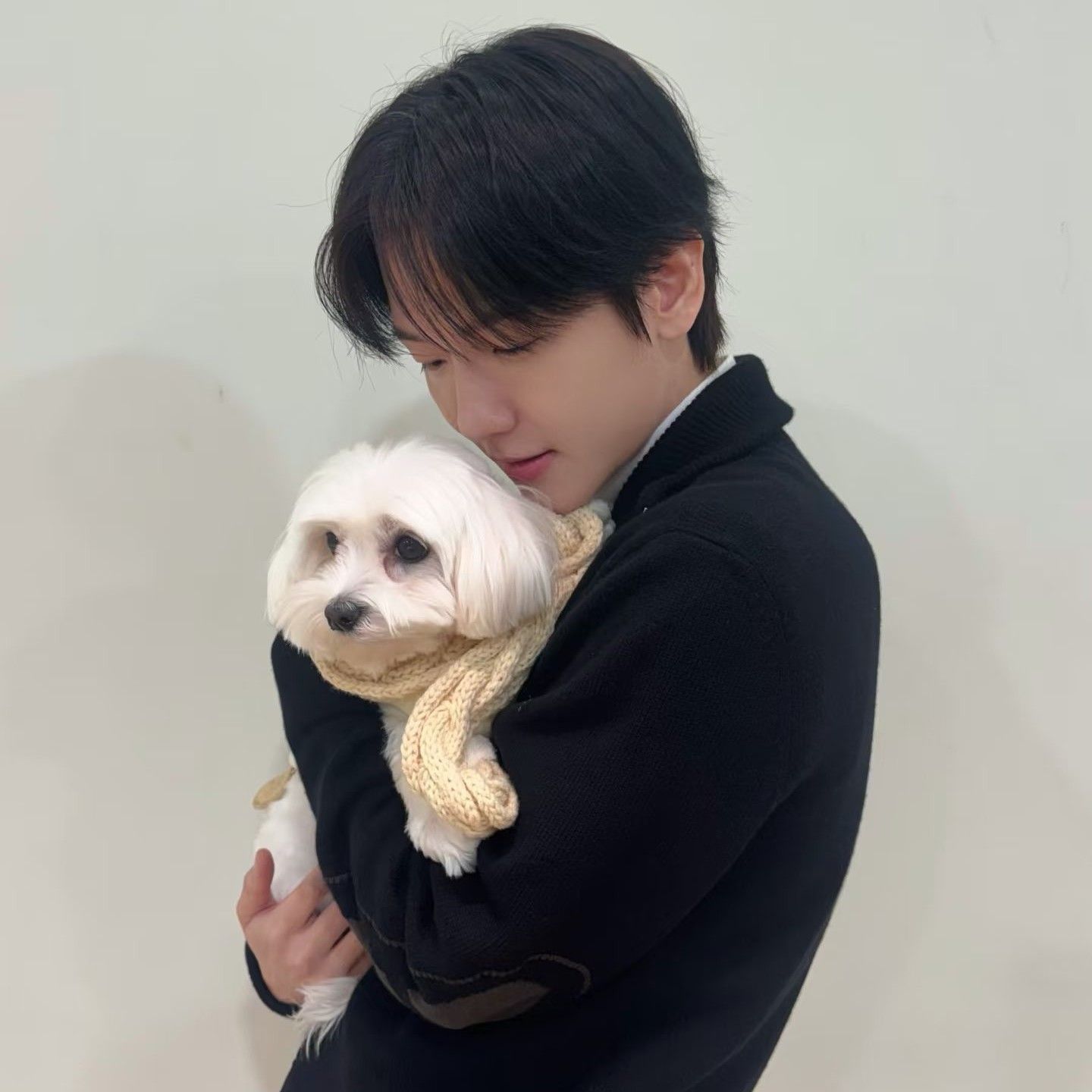 伯賢 (EXO)的最新照片