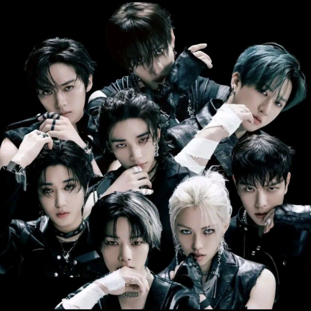 Stray Kids粉絲拍下的瞬間