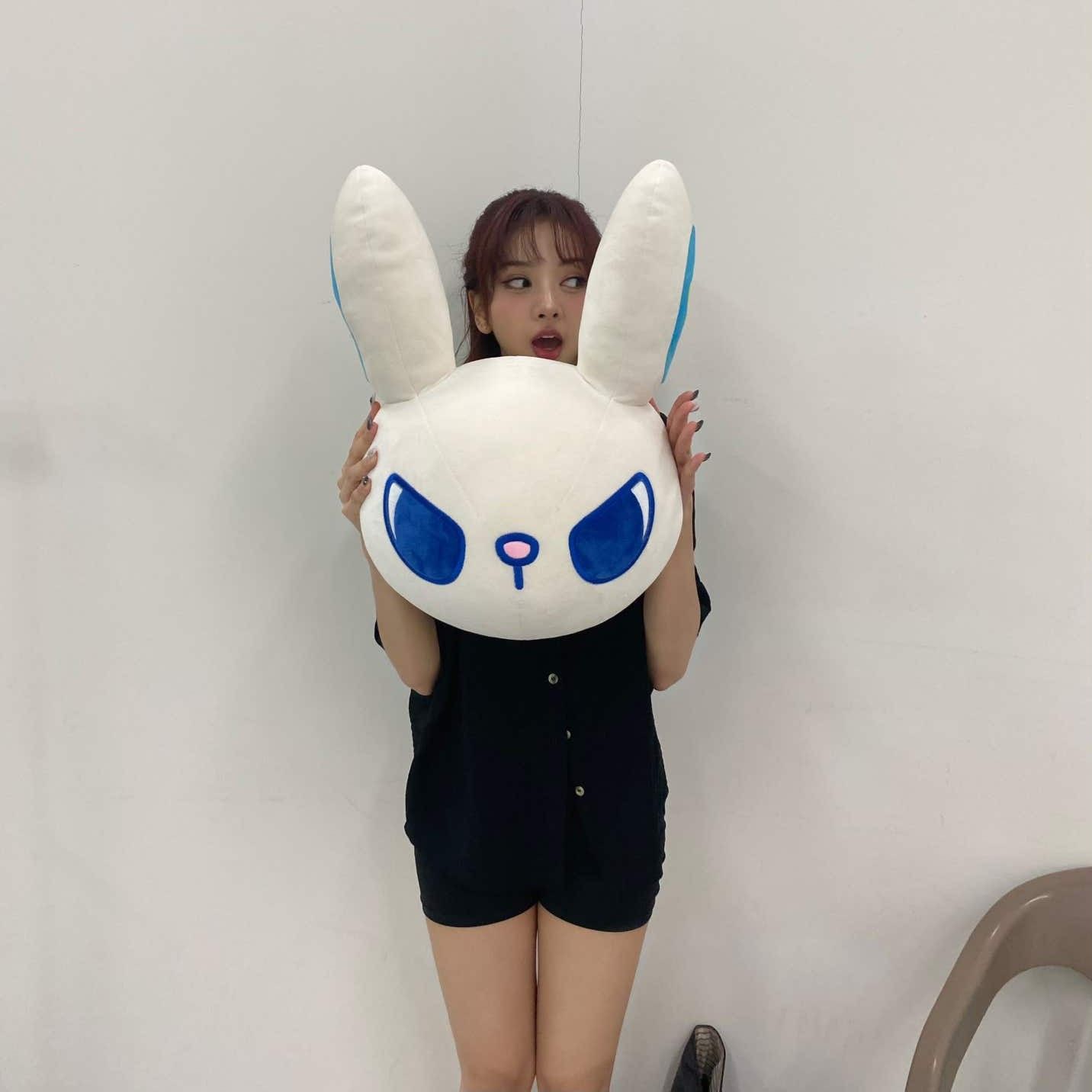 SECRET NUMBER 최근 활동샷