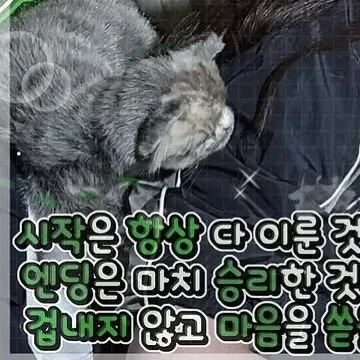 A moment captured by Jang Wonyoung (IVE)'s fan