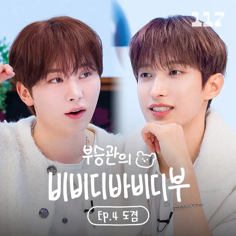 SEVENTEENファンが撮った瞬間