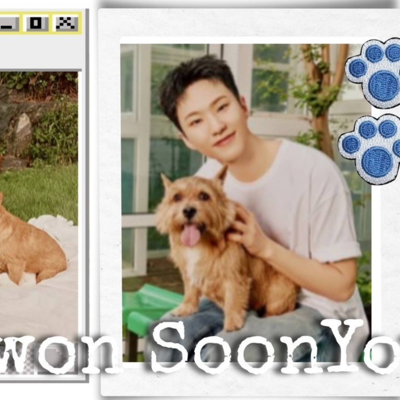 Recent activity shot of Hoshi (SEVENTEEN)