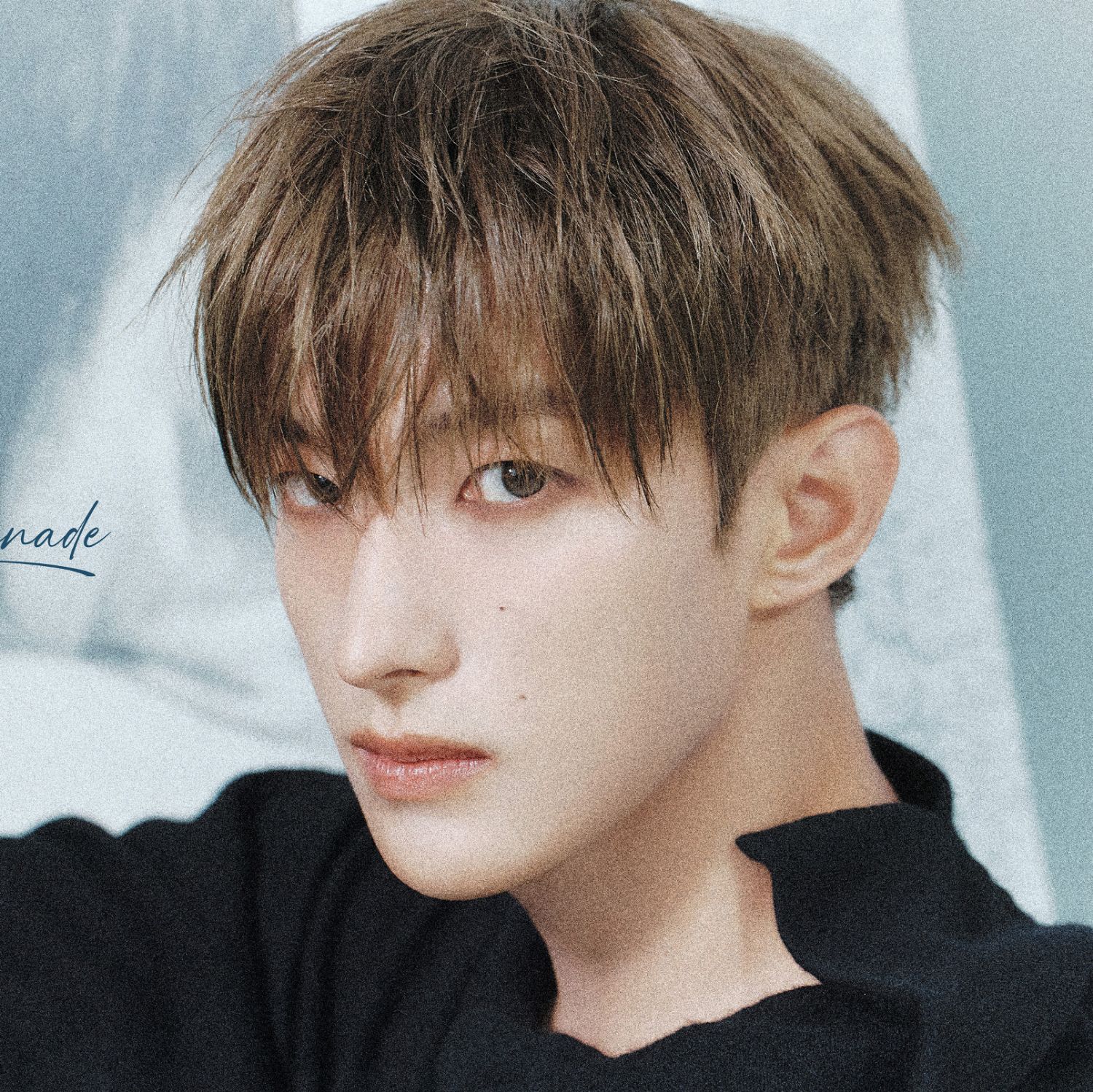 세븐틴의 최신 사진