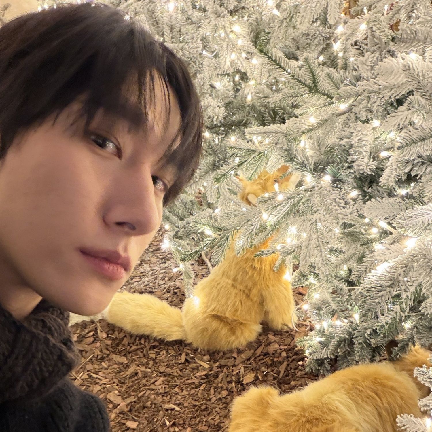 Behind-the-scenes cut of I.M (MONSTA X)