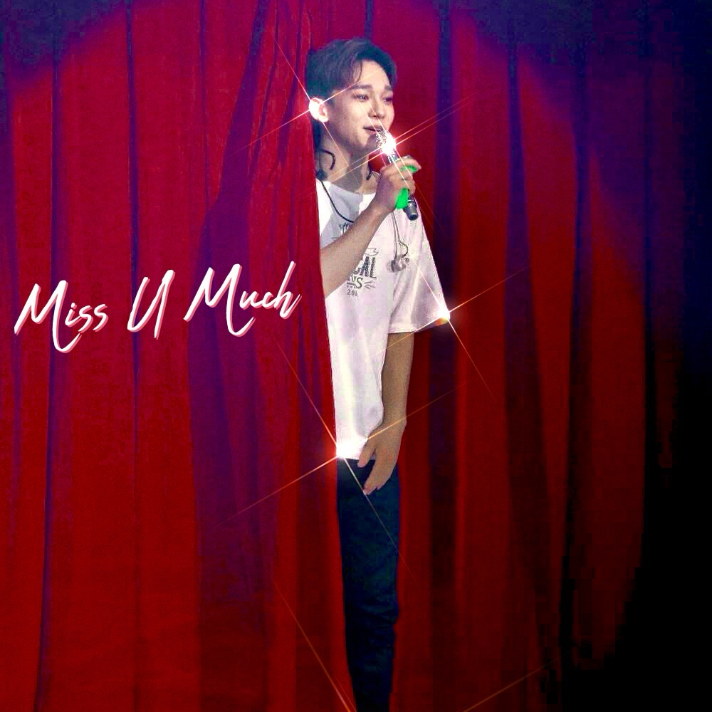 첸 (EXO) 팬이 찍은 순간