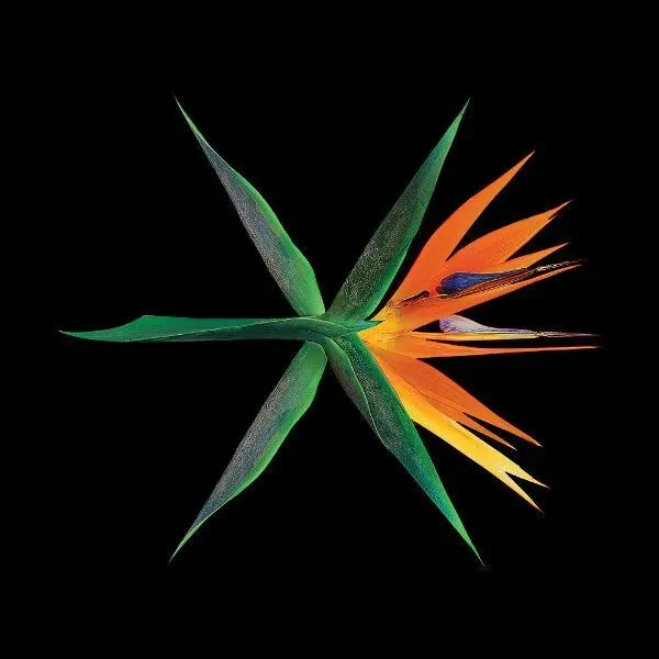 EXO 최근 활동샷