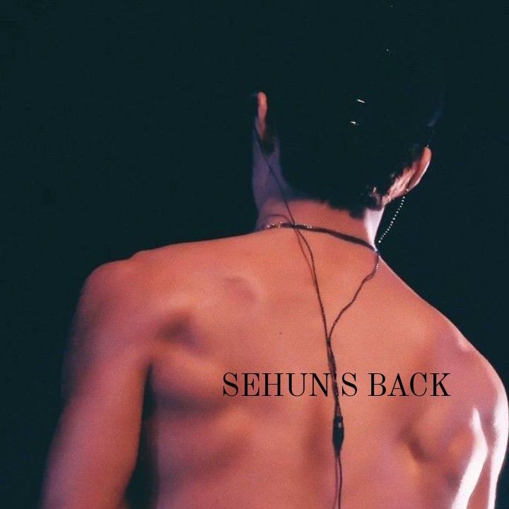 世勳 (EXO)粉絲拍下的瞬間