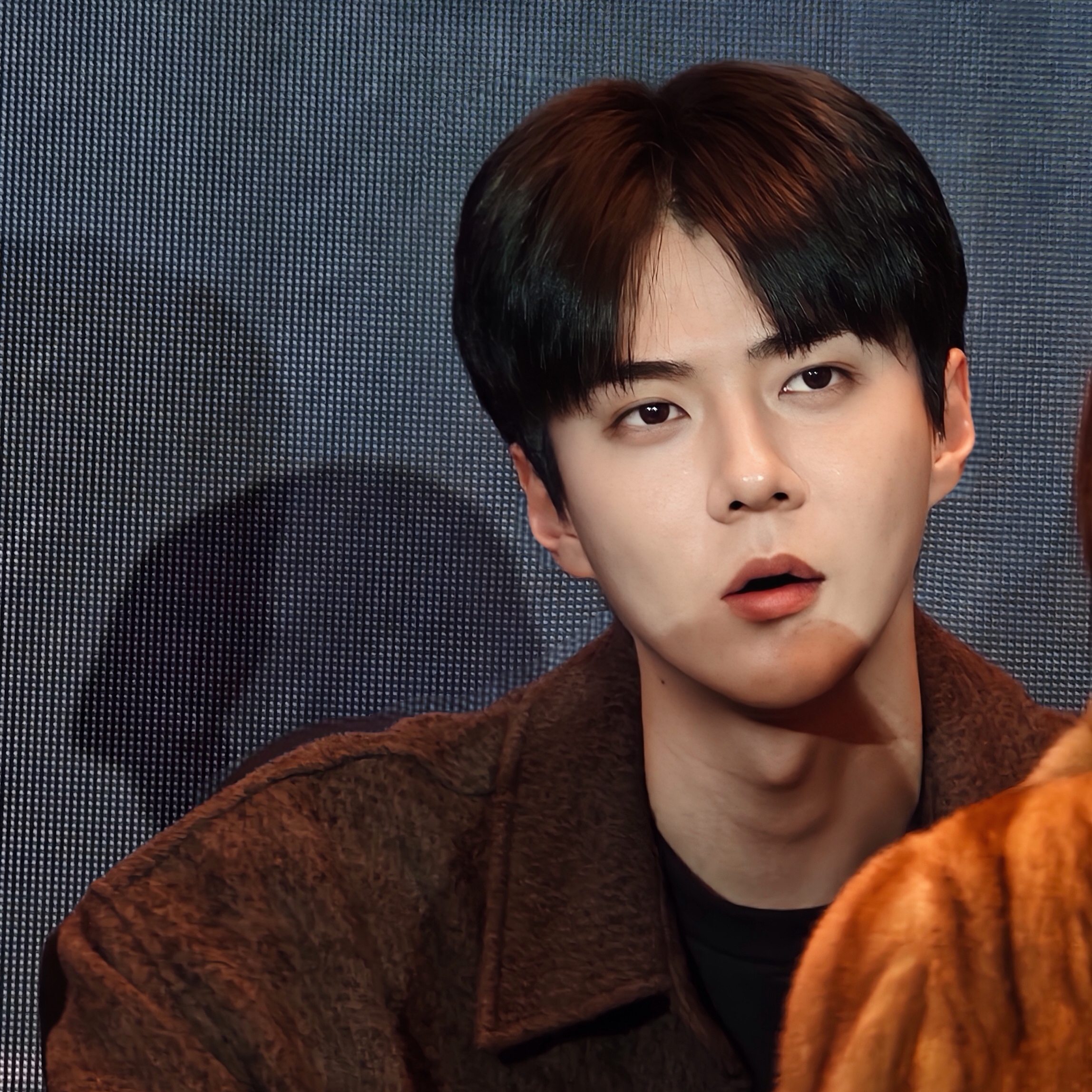 세훈 (EXO) 최근 활동샷