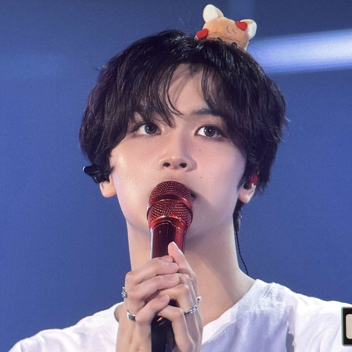 Latest photo of Haechan (NCT 127, NCT DREAM)