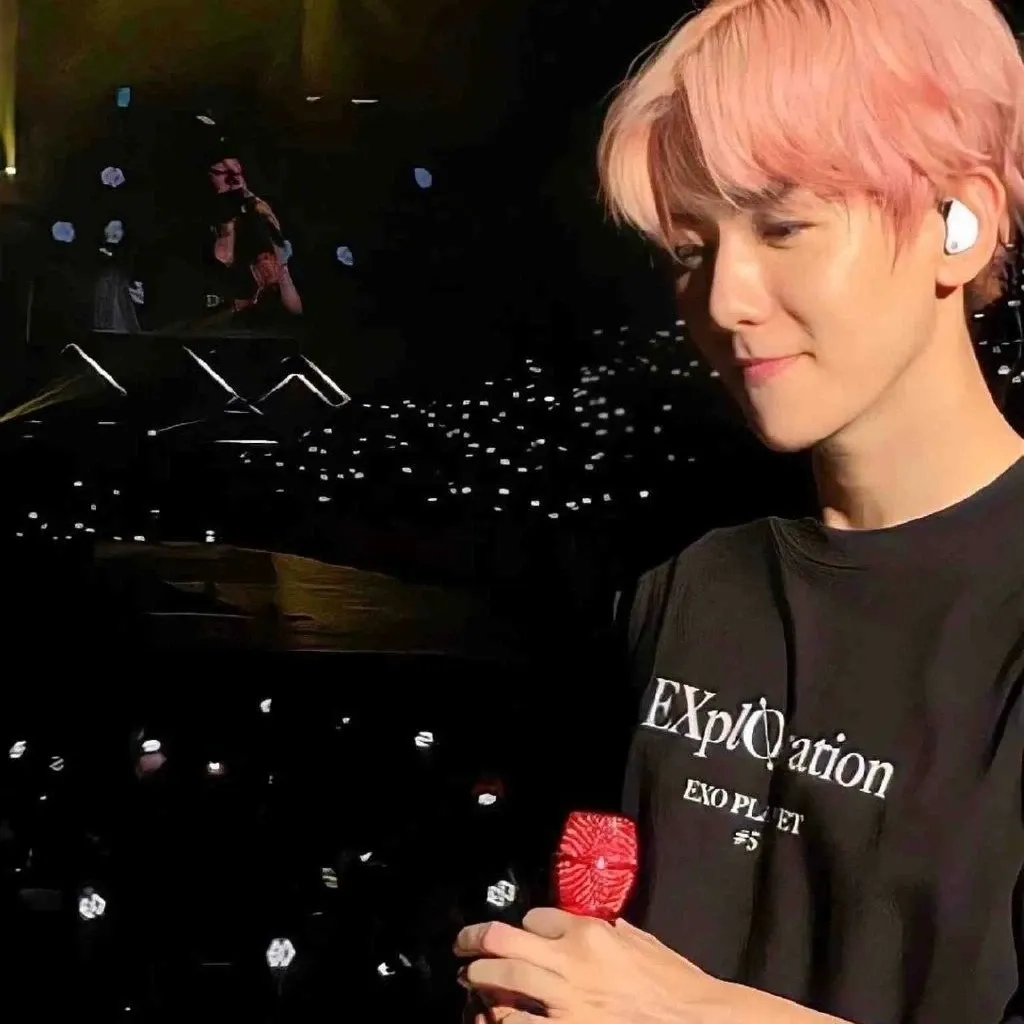 伯賢 (EXO)粉絲拍下的瞬間