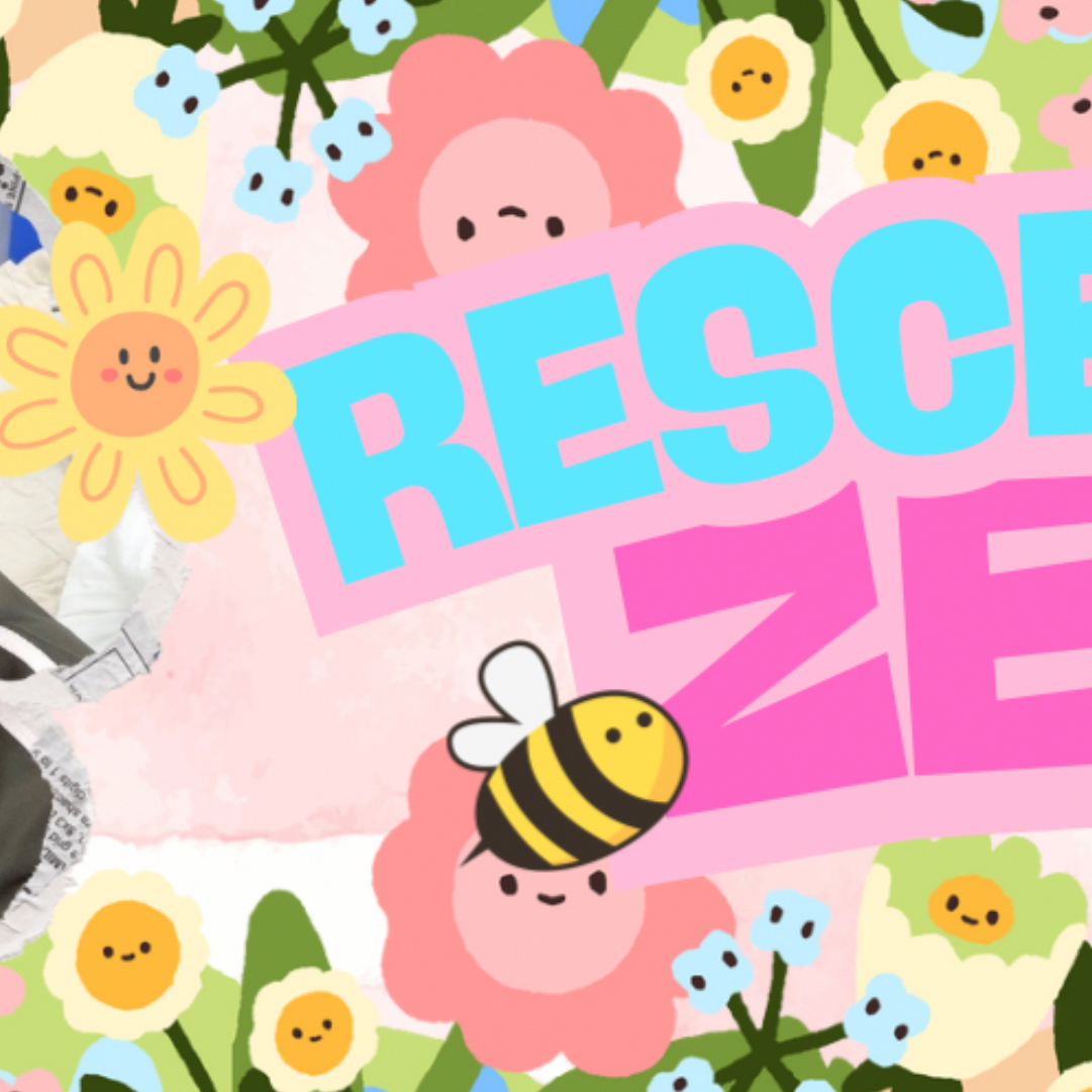 A moment captured by Zena (RESCENE)'s fan